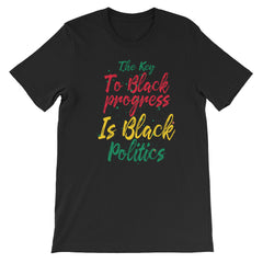 Black Politics